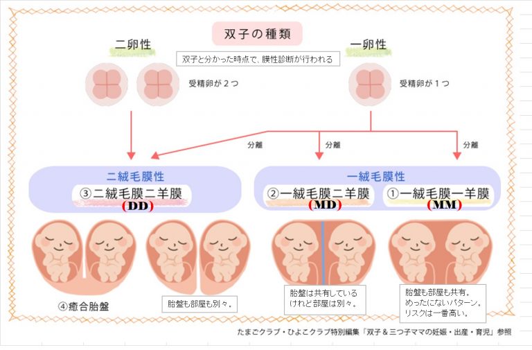 双子診断 双子診断